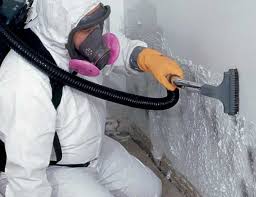 Best Mold Documentation for Insurance Claims  in Madison, MN